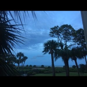 Meet your Posher, Whitney